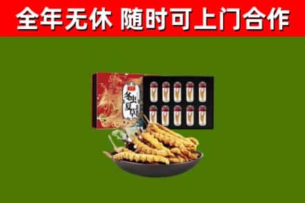 衡阳市回收冬虫夏草价格